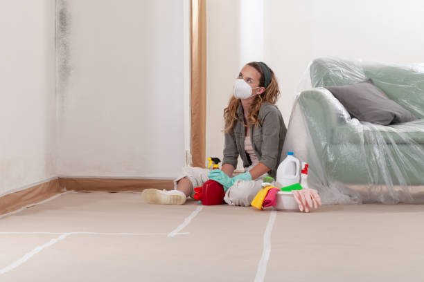 Reliable Black Mold Removal contractor in Columbia, PA by WQB Mold Removal