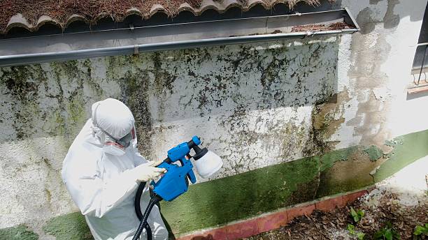 Top rated local Black Mold Removal specialists in Columbia, PA